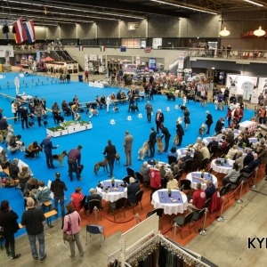 EINDHOVEN_2018_Kynoweb_Ron Baltus_20180208_KYNOWEB_Ron_Baltus_20180202_162228_X2169548