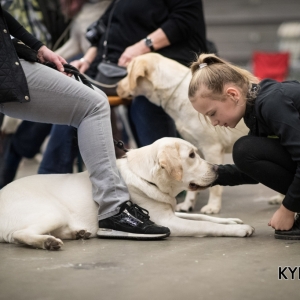 EINDHOVEN_2018_Kynoweb_Ron Baltus_20180210_KYNOWEB_Ron_Baltus_20180203_125522_XX007074