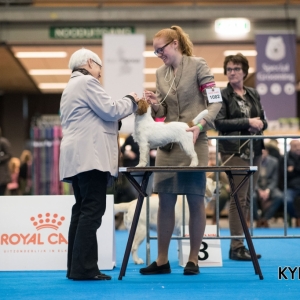 EINDHOVEN_2018_Kynoweb_Ron Baltus_20180210_KYNOWEB_Ron_Baltus_20180203_125724_XX007075