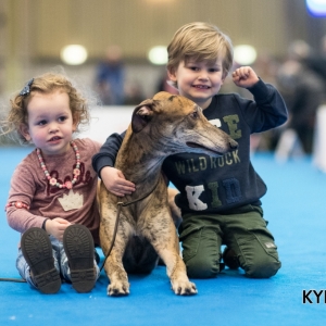 EINDHOVEN_2018_Kynoweb_Ron Baltus_20180210_KYNOWEB_Ron_Baltus_20180203_130435_XX007091