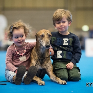 EINDHOVEN_2018_Kynoweb_Ron Baltus_20180210_KYNOWEB_Ron_Baltus_20180203_131006_XX007144