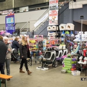 EINDHOVEN_2018_Kynoweb_Ron Baltus_20180210_KYNOWEB_Ron_Baltus_20180203_132439_2X104959-2