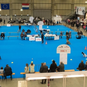 EINDHOVEN_2018_Kynoweb_Ron Baltus_20180210_KYNOWEB_Ron_Baltus_20180203_142712_2X105033