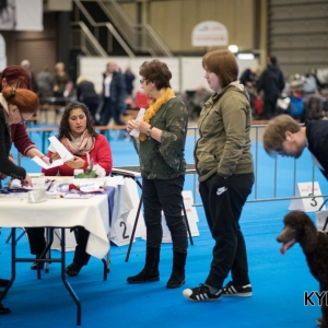 EINDHOVEN_2018_Kynoweb_Ron Baltus_20180212_KYNOWEB_Ron_Baltus_20180204_092353_XX007924