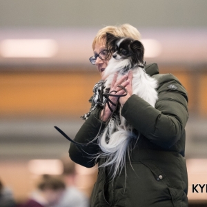 EINDHOVEN_2018_Kynoweb_Ron Baltus_20180212_KYNOWEB_Ron_Baltus_20180204_100553_2X105105