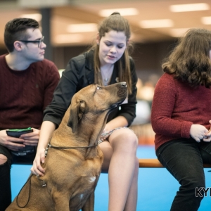 EINDHOVEN_2018_Kynoweb_Ron Baltus_20180212_KYNOWEB_Ron_Baltus_20180204_101026_XX007949