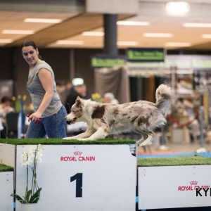 EINDHOVEN_2018_Kynoweb_Ron Baltus_20180212_KYNOWEB_Ron_Baltus_20180204_144835_XX008247