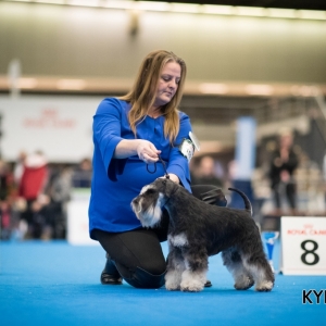 EINDHOVEN_2018_Kynoweb_Ron Baltus_20180212_KYNOWEB_Ron_Baltus_20180204_163811_XX008939