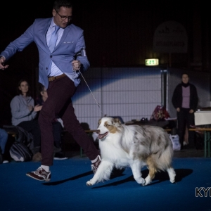 EINDHOVEN_2018_Kynoweb_Ron Baltus_20180212_KYNOWEB_Ron_Baltus_20180204_165427_XX008972