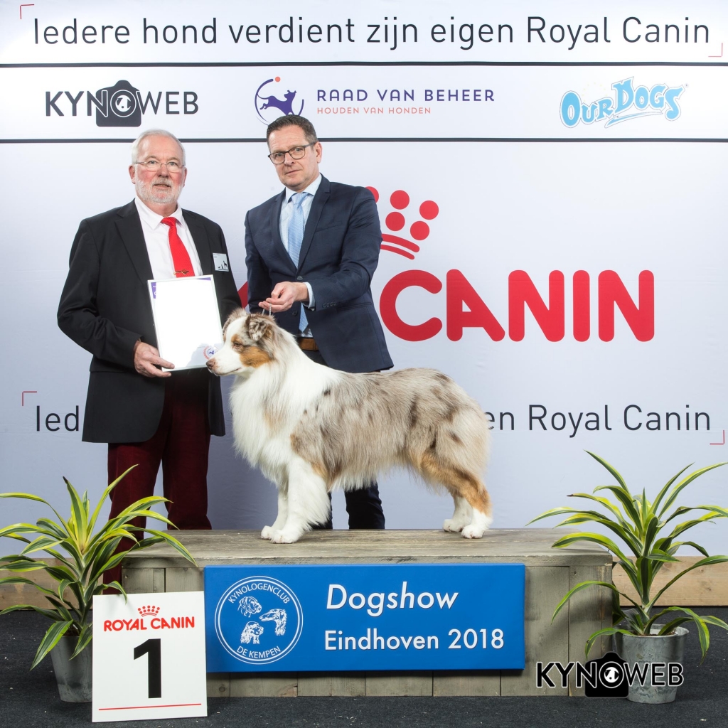 G_1_1_EINDHOVEN_2018_Kynoweb__20180202_16_33_30