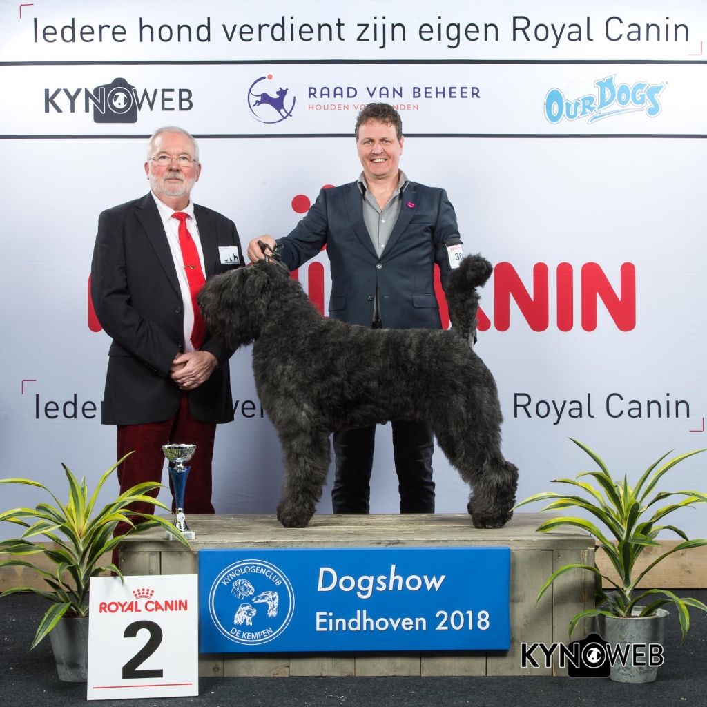 G_1_2_EINDHOVEN_2018_Kynoweb__20180202_16_35_44