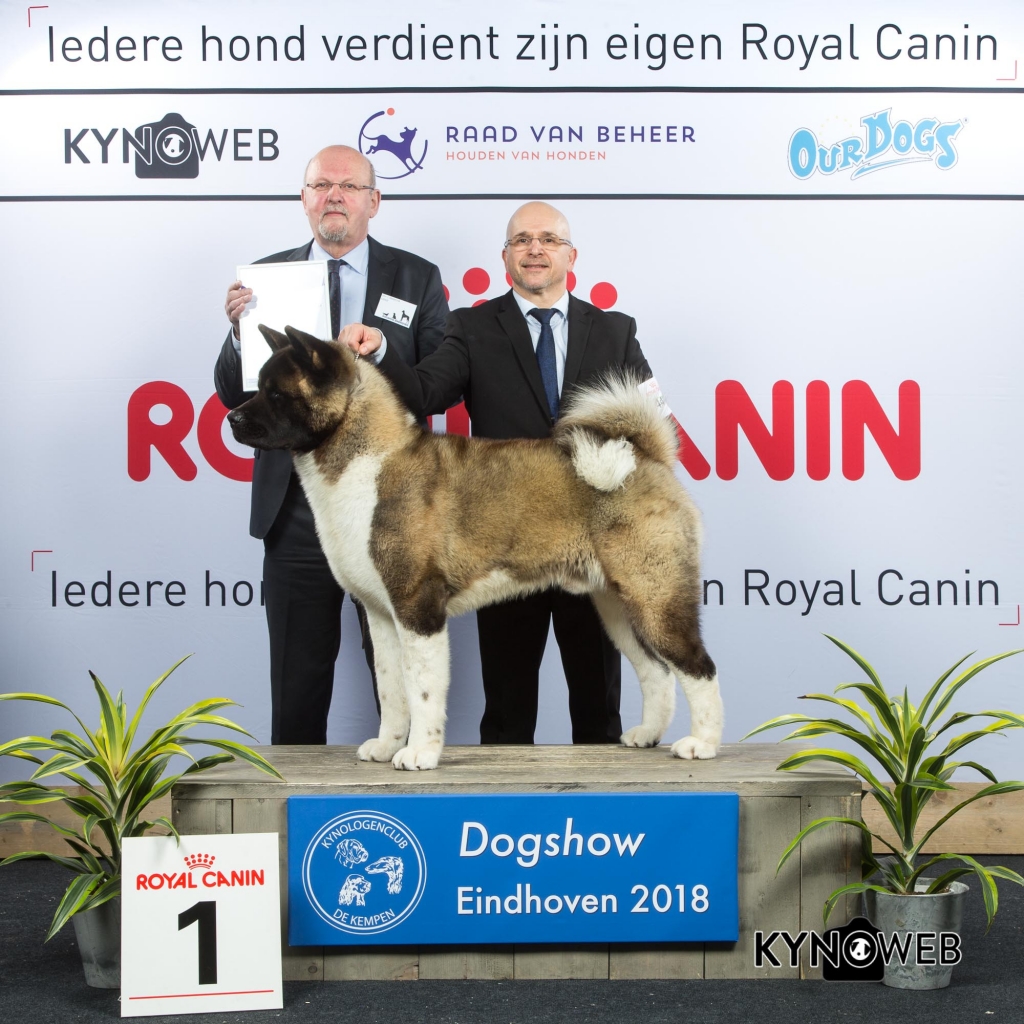 G_5_1_EINDHOVEN_2018_Kynoweb__20180202_16_07_06