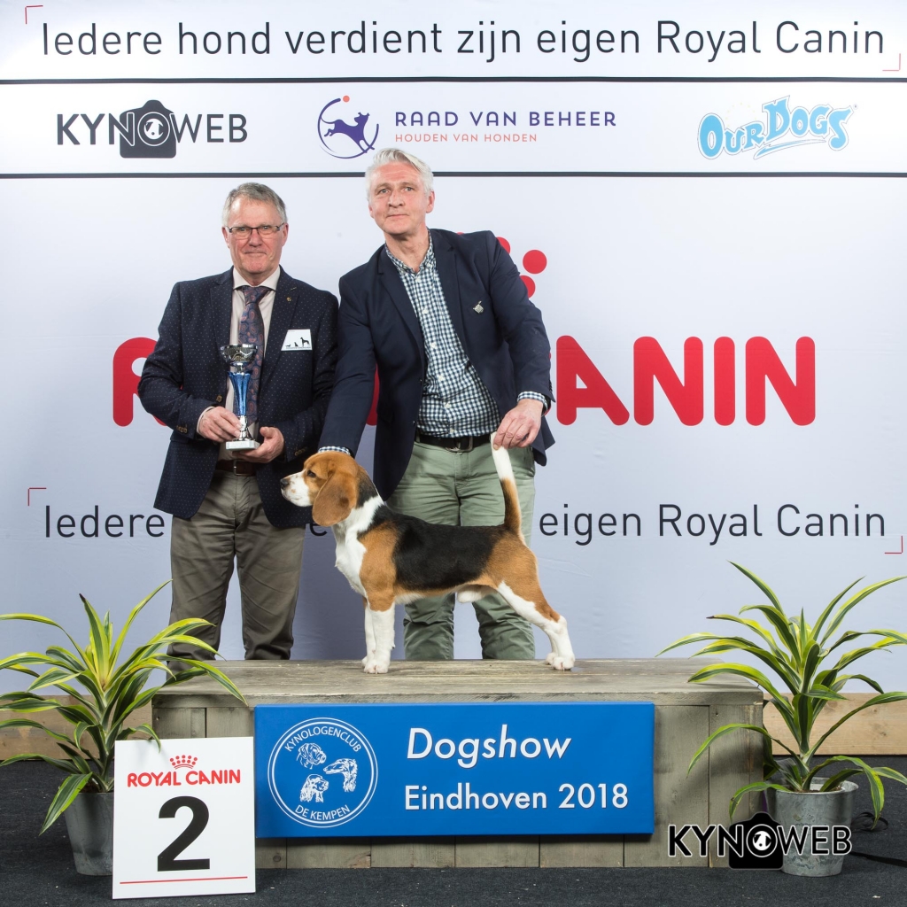 G_6_2_EINDHOVEN_2018_Kynoweb__20180202_16_20_09