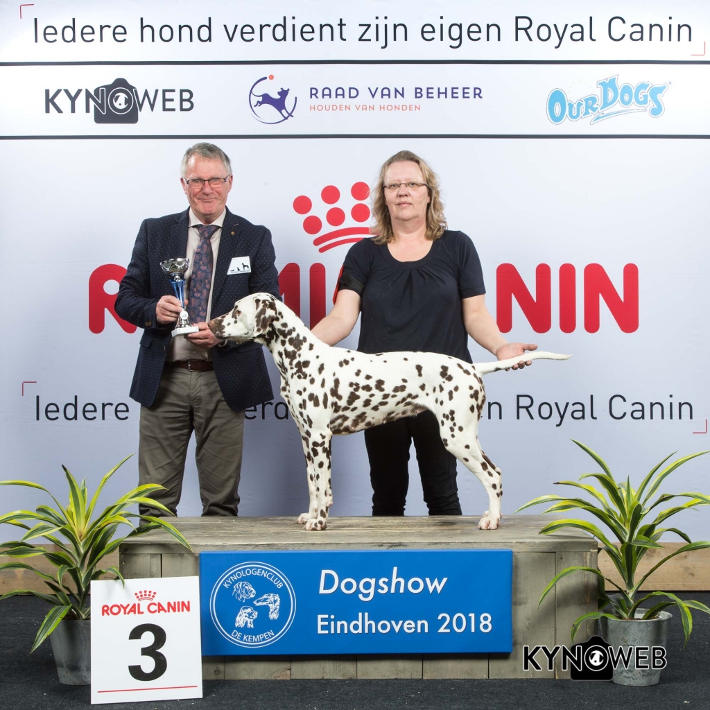 G_6_3_EINDHOVEN_2018_Kynoweb__20180202_16_21_22