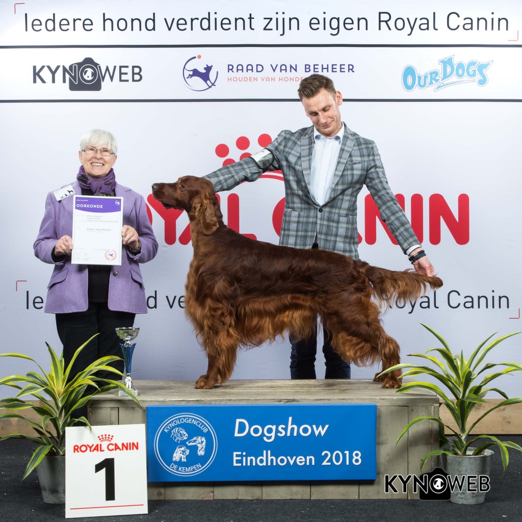 G_7_1_EINDHOVEN_2018_Kynoweb__20180202_16_24_43