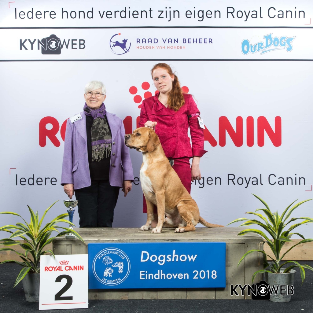 G_7_2_EINDHOVEN_2018_Kynoweb__20180202_16_25_55