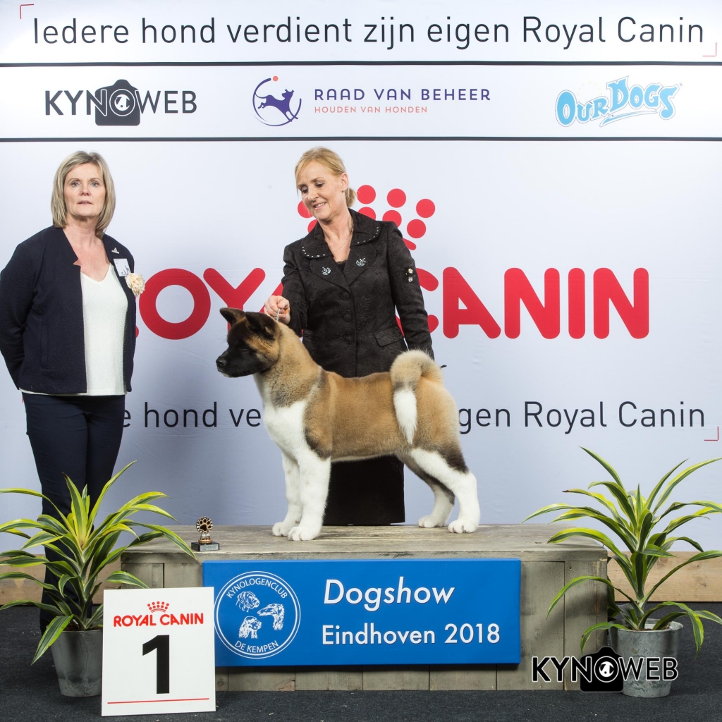 J_1_EINDHOVEN_2018_Kynoweb__20180202_15_40_39
