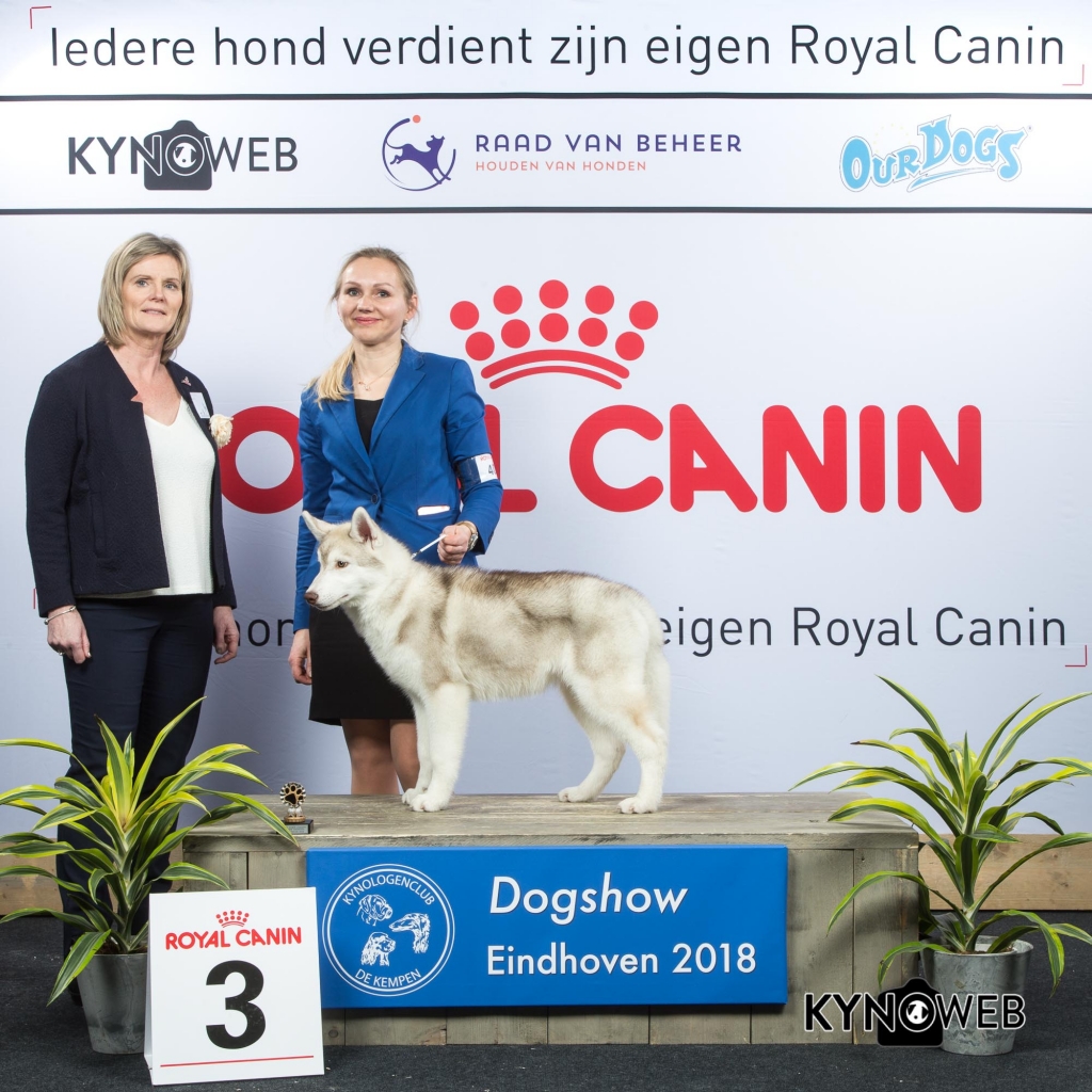 J_3_EINDHOVEN_2018_Kynoweb__20180202_15_39_14
