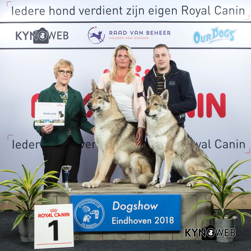 K_1_EINDHOVEN_2018_Kynoweb__20180202_15_54_51