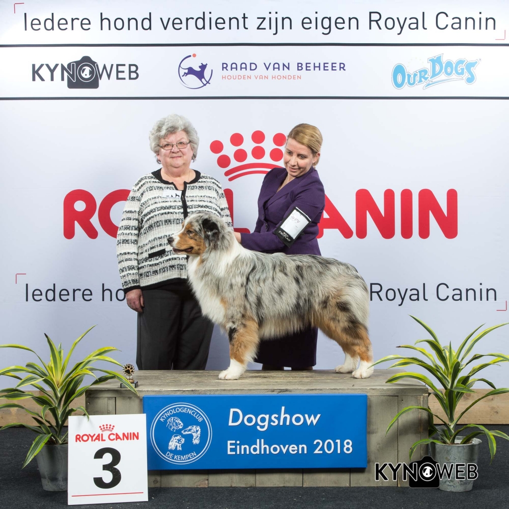 P_3_EINDHOVEN_2018_Kynoweb__20180202_15_49_02