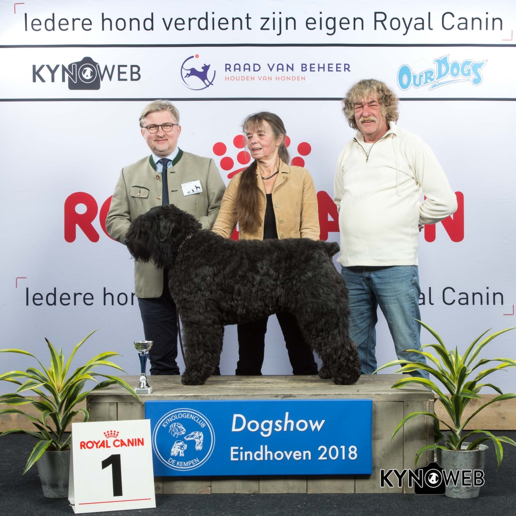 V_1_EINDHOVEN_2018_Kynoweb__20180202_15_50_42