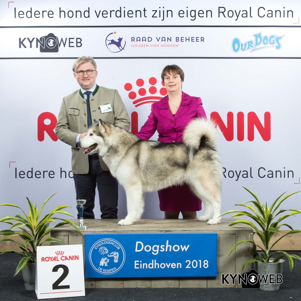 V_2_EINDHOVEN_2018_Kynoweb__20180202_16_17_08