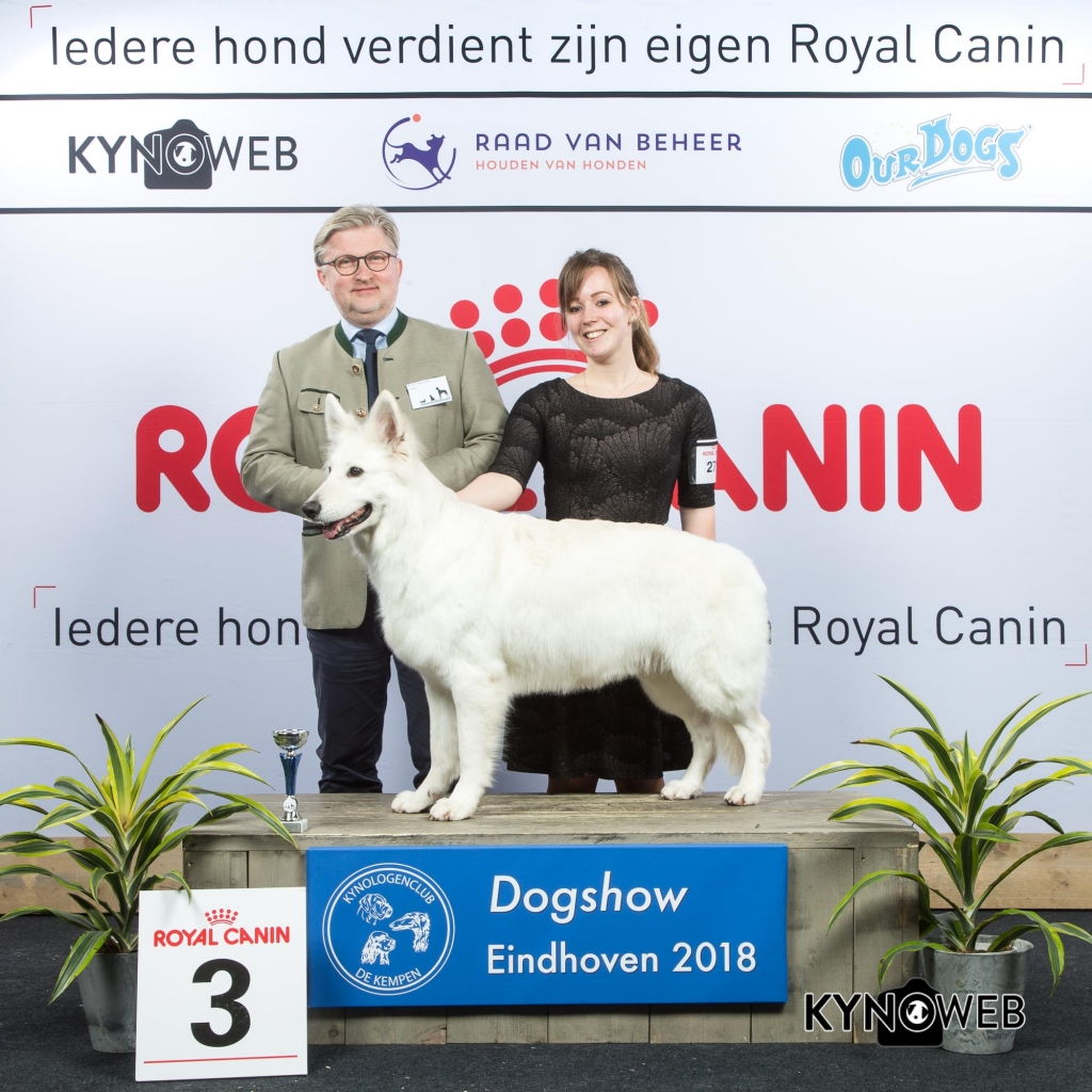 V_3_EINDHOVEN_2018_Kynoweb__20180202_15_51_41