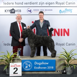 G_1_2_EINDHOVEN_2018_Kynoweb__20180202_16_35_44