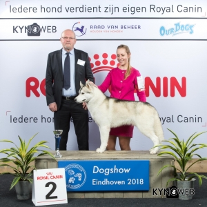 G_5_2_EINDHOVEN_2018_Kynoweb__20180202_16_09_43