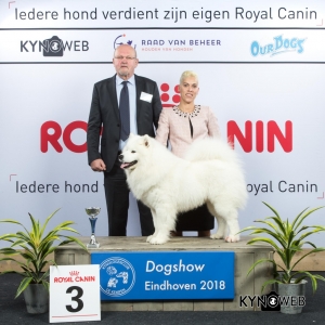 G_5_3_EINDHOVEN_2018_Kynoweb__20180202_16_11_57