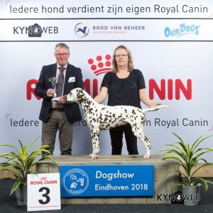 G_6_3_EINDHOVEN_2018_Kynoweb__20180202_16_21_22