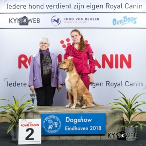 G_7_2_EINDHOVEN_2018_Kynoweb__20180202_16_25_55
