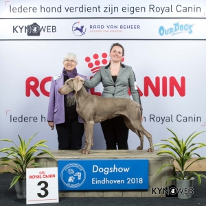 G_7_3_EINDHOVEN_2018_Kynoweb__20180202_16_28_21