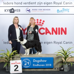 J_2_EINDHOVEN_2018_Kynoweb__20180202_15_37_03