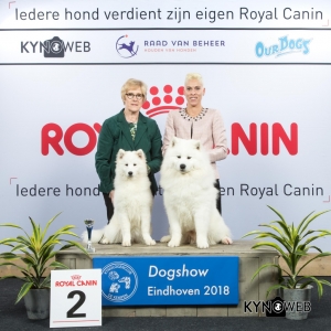 K_2_EINDHOVEN_2018_Kynoweb__20180202_15_55_44