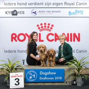 K_3_EINDHOVEN_2018_Kynoweb__20180202_16_23_02