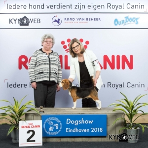 P_2_EINDHOVEN_2018_Kynoweb__20180202_15_46_51