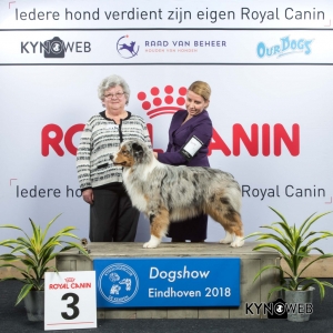 P_3_EINDHOVEN_2018_Kynoweb__20180202_15_49_02