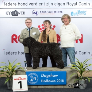V_1_EINDHOVEN_2018_Kynoweb__20180202_15_50_42