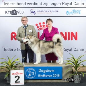 V_2_EINDHOVEN_2018_Kynoweb__20180202_16_17_08