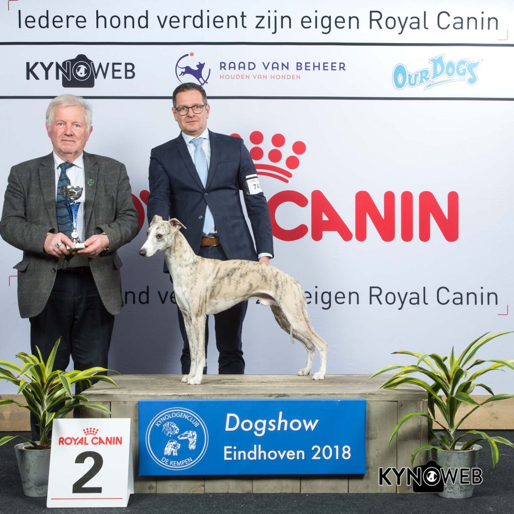 G_10_2_EINDHOVEN_2018_Kynoweb__20180203_16_23_39