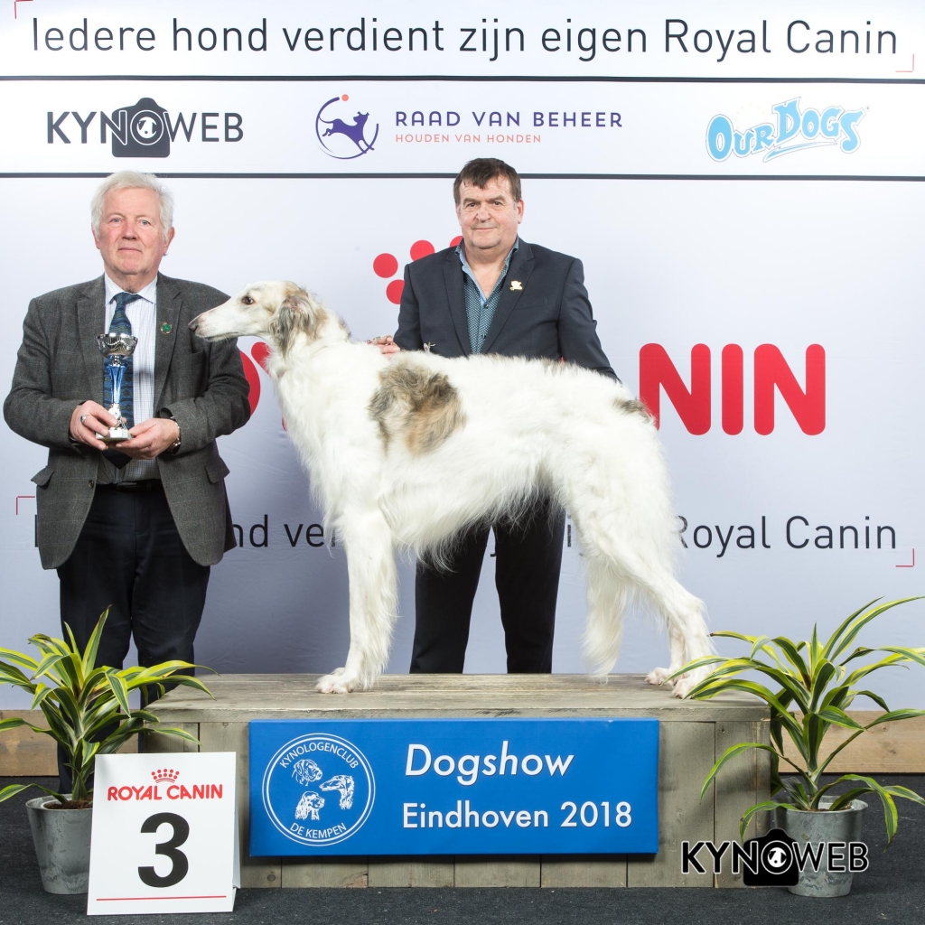 G_10_3_EINDHOVEN_2018_Kynoweb__20180203_16_24_41