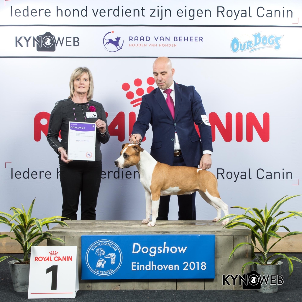 G_3_1_EINDHOVEN_2018_Kynoweb__20180203_16_08_02