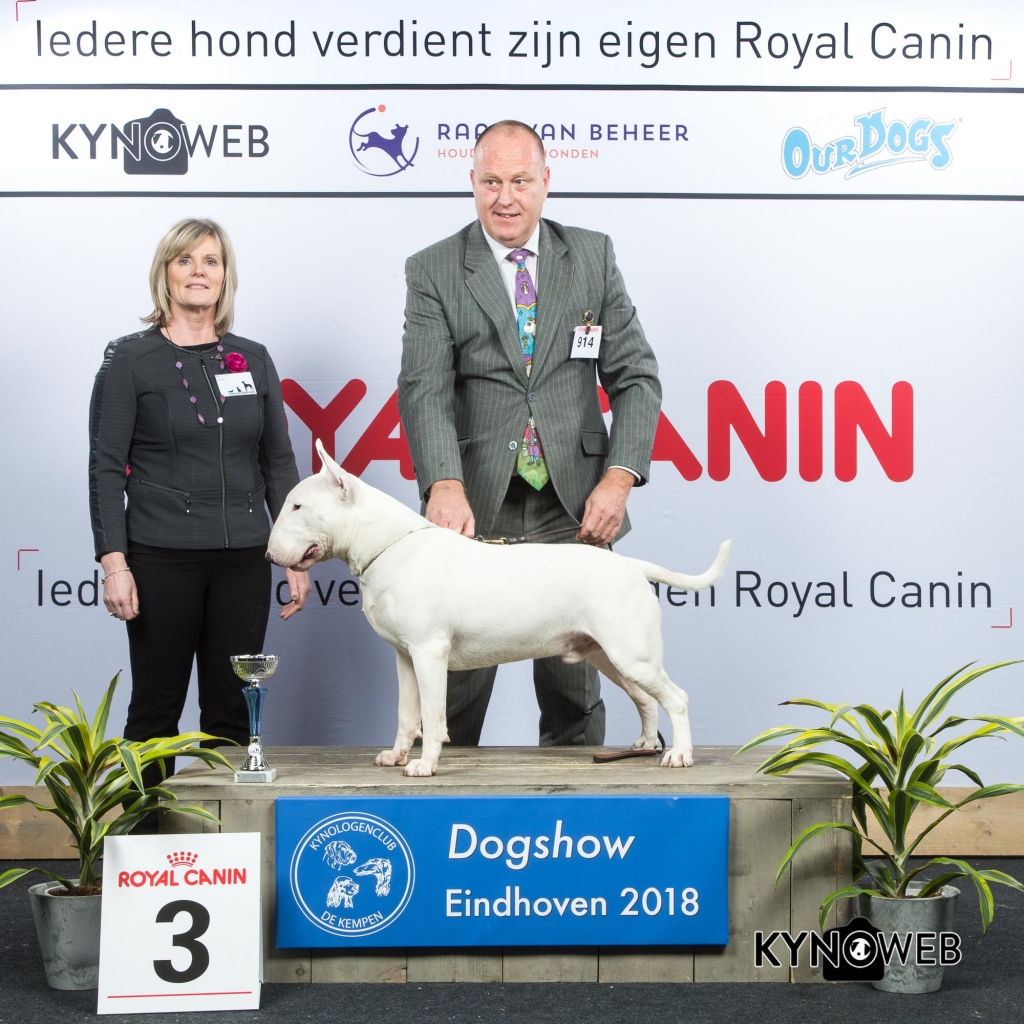 G_3_3_EINDHOVEN_2018_Kynoweb__20180203_16_09_23