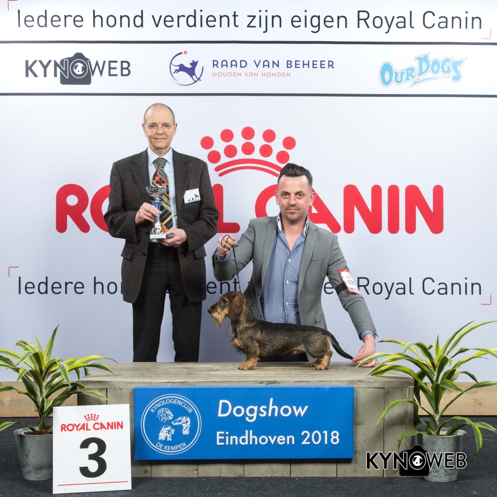 G_4_3_EINDHOVEN_2018_Kynoweb__20180203_16_16_57