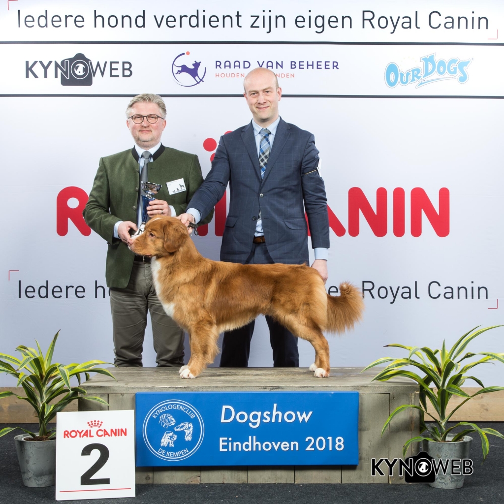 G_8_2_EINDHOVEN_2018_Kynoweb__20180203_16_31_52