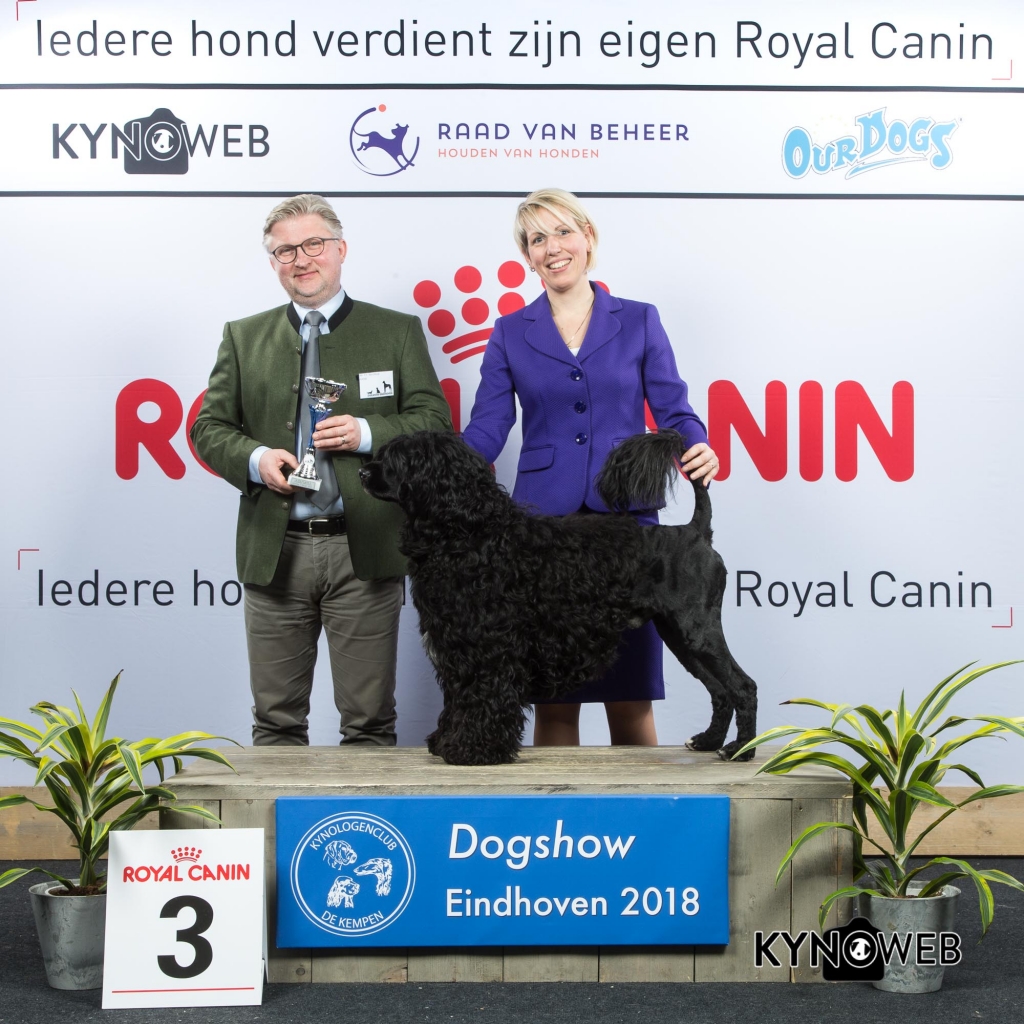G_8_3_EINDHOVEN_2018_Kynoweb__20180203_16_33_25