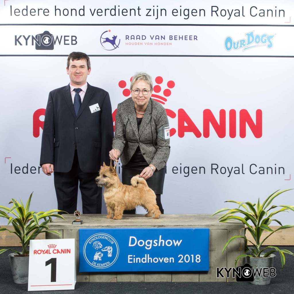 J_1_EINDHOVEN_2018_Kynoweb__20180203_15_32_36