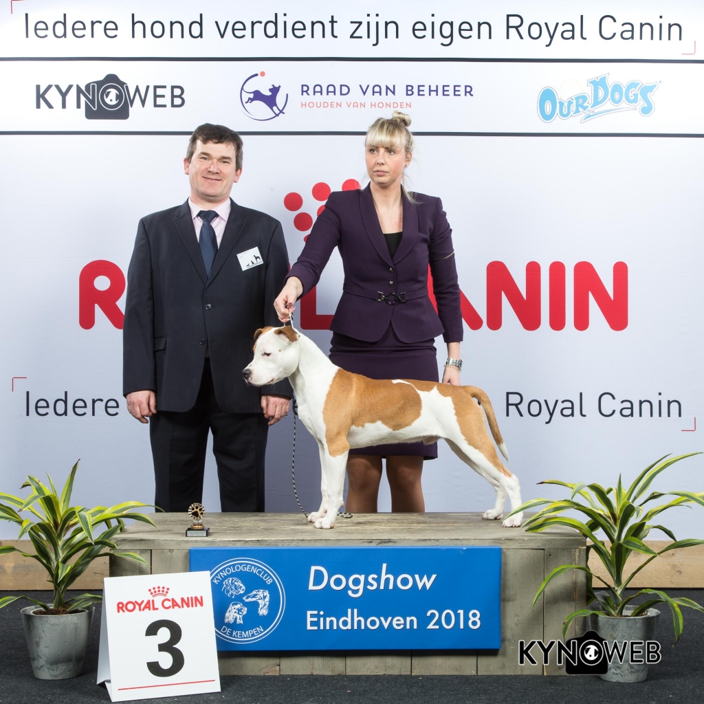 J_3_EINDHOVEN_2018_Kynoweb__20180203_15_36_00