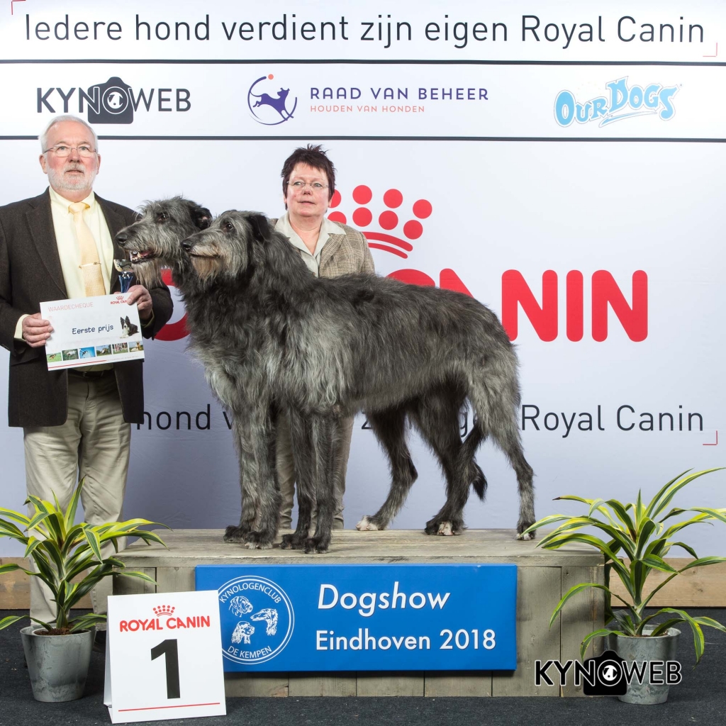 K_1_EINDHOVEN_2018_Kynoweb__20180203_15_52_43